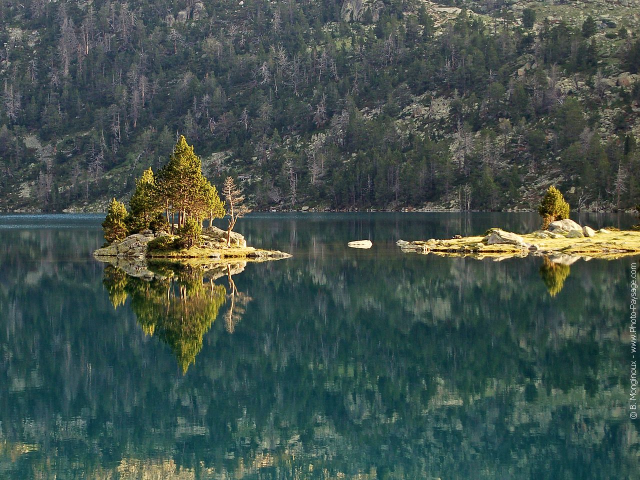 Pyrenees